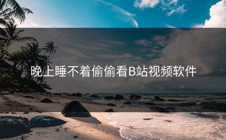 晚上睡不着偷偷看B站视频软件