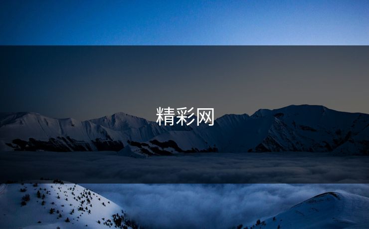 精彩网