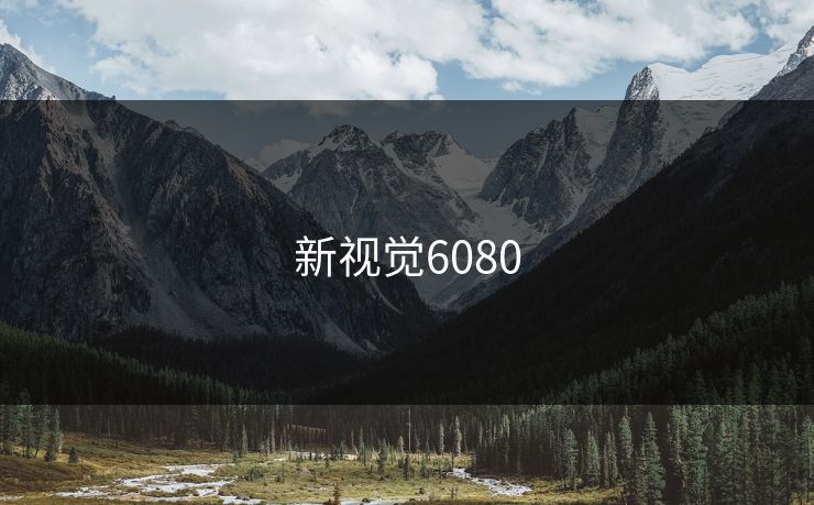新视觉6080 新视觉6080