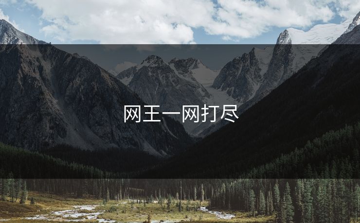 网王一网打尽