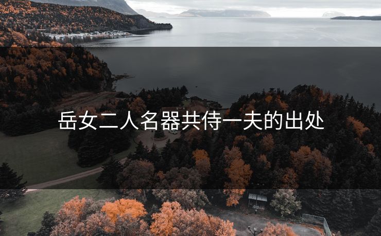 岳女二人名器共侍一夫的出处